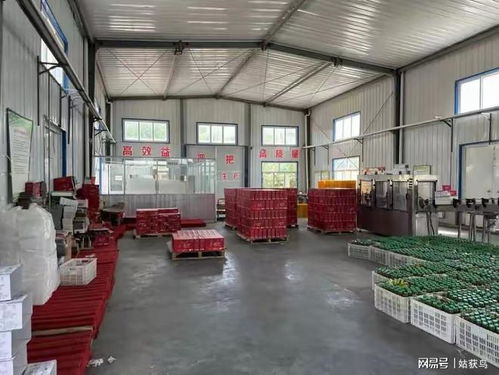 延安大型工廠三度流拍，降價至1824.9萬元仍無人問津